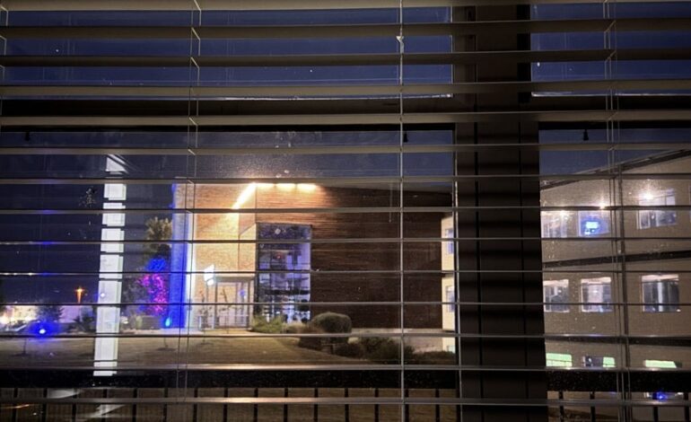 Explican cómo la luz nocturna favorece las enfermedades del corazón