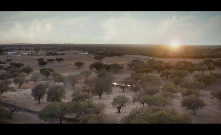 Los mejores productos extremeños se exponen en la segunda edición de Feria Espiga agroalimentaria