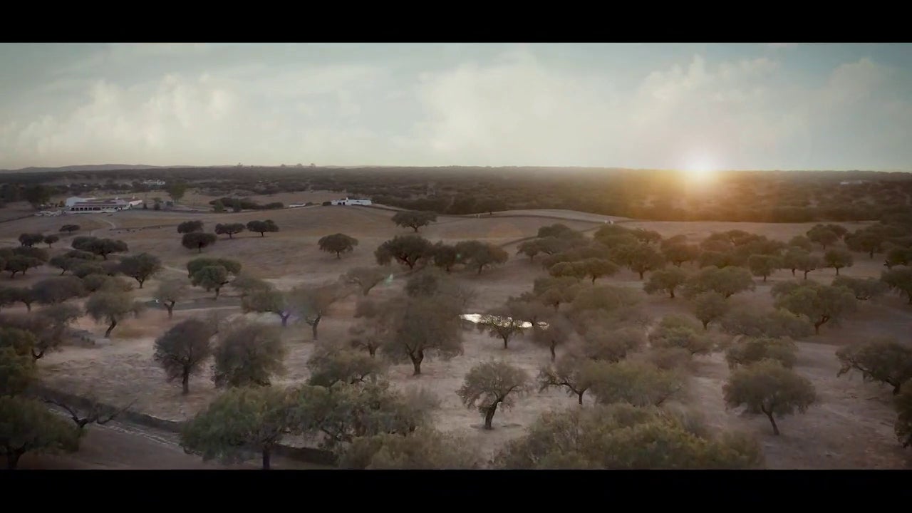 Los mejores productos extremeños se exponen en la segunda edición de Feria Espiga agroalimentaria