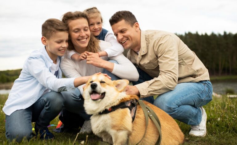 Minicréditos para gastos veterinarios urgentes