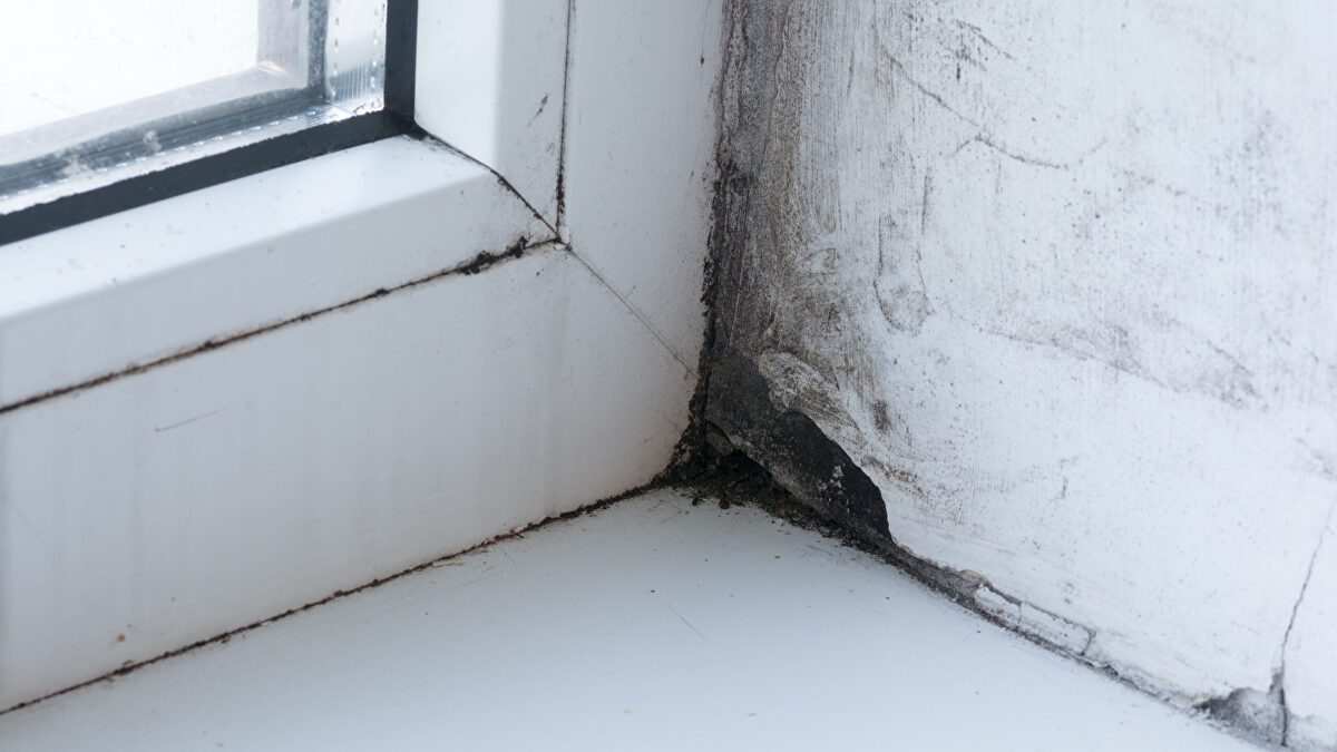 Cómo quitar las humedades de casa de forma definitiva