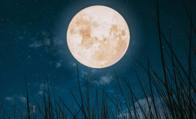 La fuerza de culminación, la abundancia y la claridad se intensifican