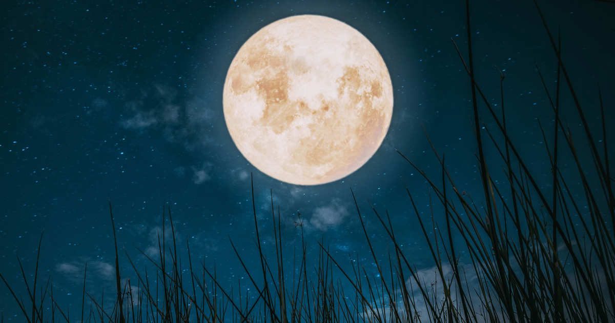 La fuerza de culminación, la abundancia y la claridad se intensifican