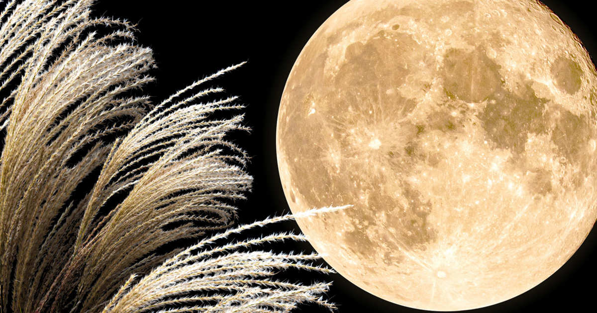 La fuerza de culminación, la abundancia y la claridad se intensifican»