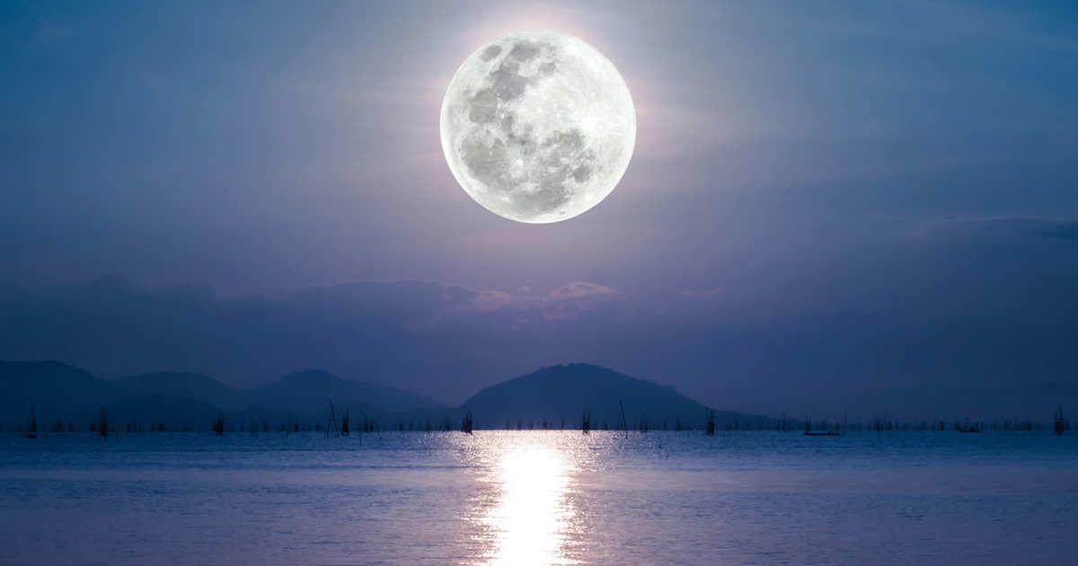 las emociones, pero también deseos y certezas»