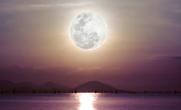 las emociones, pero también deseos y certezas»