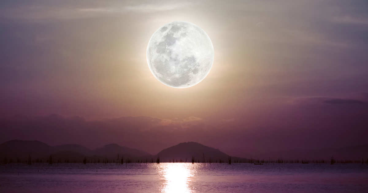 las emociones, pero también deseos y certezas»