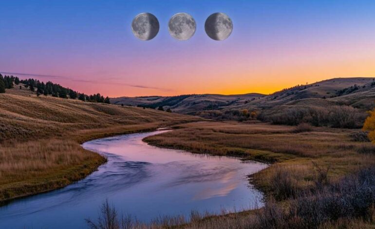 Permítete ir lento, disfrutar de los pequeños detalles y sentir la naturaleza