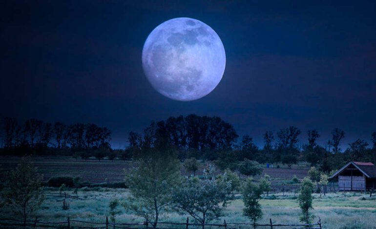 Escucha tu intuición y escribe sobre lo que sueñas. Deja que tu creatividad se exprese y que la calma te guíe