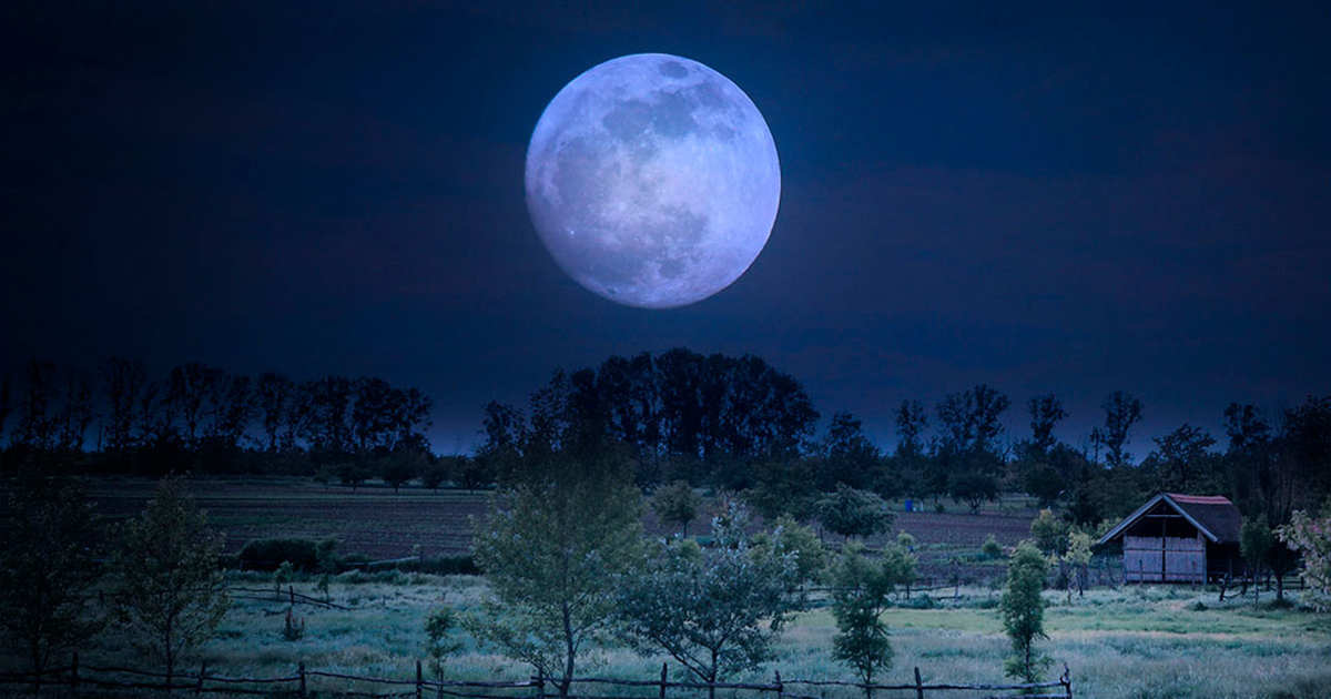 Escucha tu intuición y escribe sobre lo que sueñas. Deja que tu creatividad se exprese y que la calma te guíe