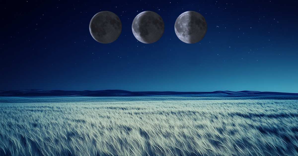 La Luna aún deslumbra, pero es momento de bajar el ritmo y conectar con un estado de calma interior. Da prioridad al autocuidado