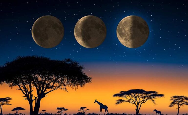 ponte música o empieza algún libro»