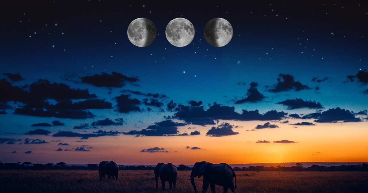 Es momento de eliminar. Elige alimentos depurativos, hazte una limpieza facial y capilar y masajéate los pies