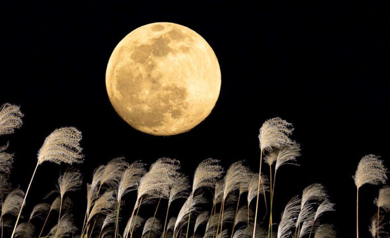 La Luna llena se aproxima. Cada cambio en el cielo refleja un movimiento en tu mundo interior