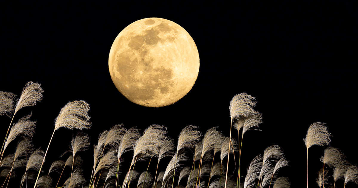 La Luna llena se aproxima. Cada cambio en el cielo refleja un movimiento en tu mundo interior