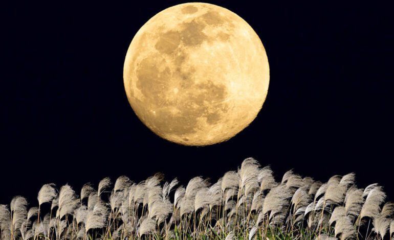 La Luna llena se acerca. Cada cambio en el cielo refleja un movimiento en tu mundo interior