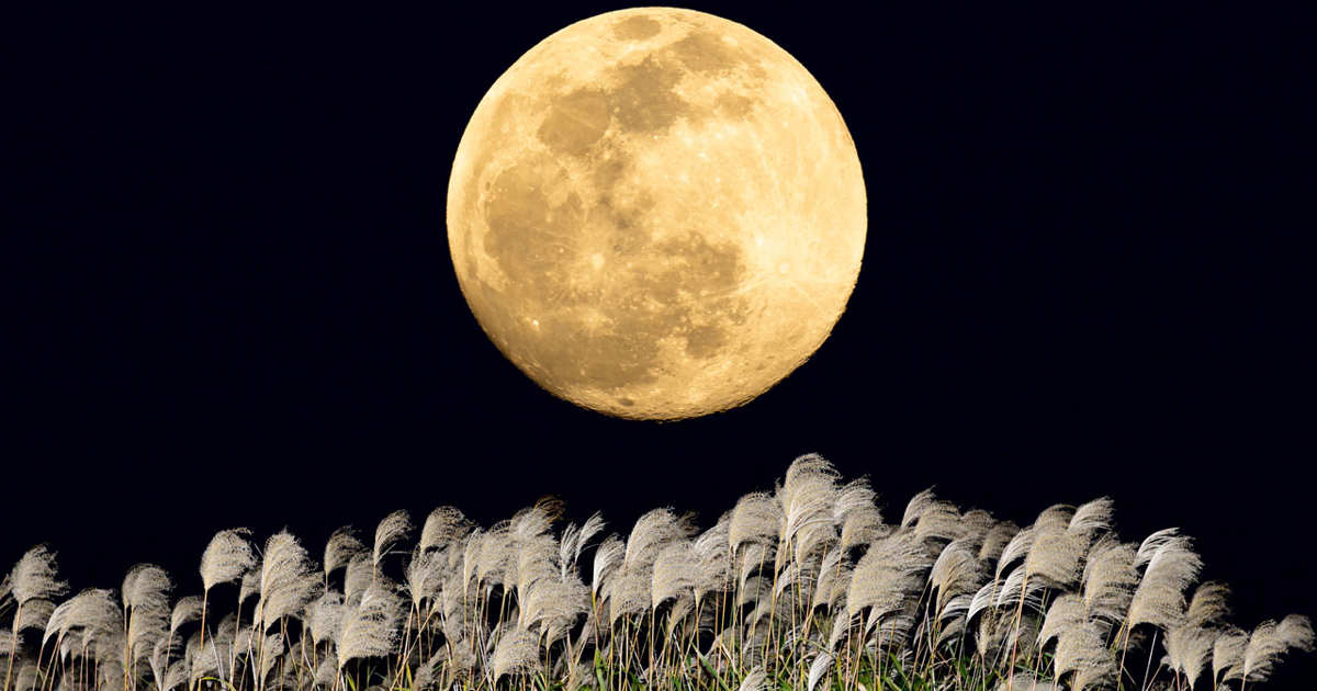 La Luna llena se acerca. Cada cambio en el cielo refleja un movimiento en tu mundo interior