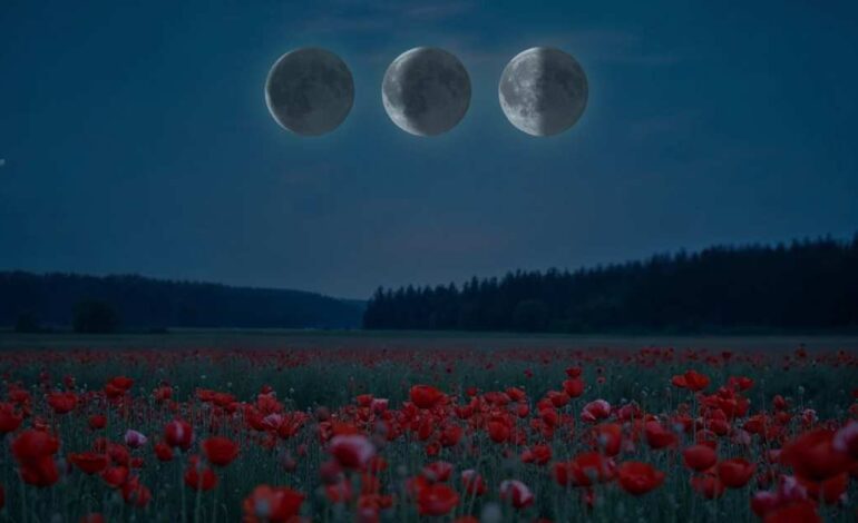 tu alma sabe cuándo cerrar ciclos. Suelta con ternura lo que ya no va contigo»