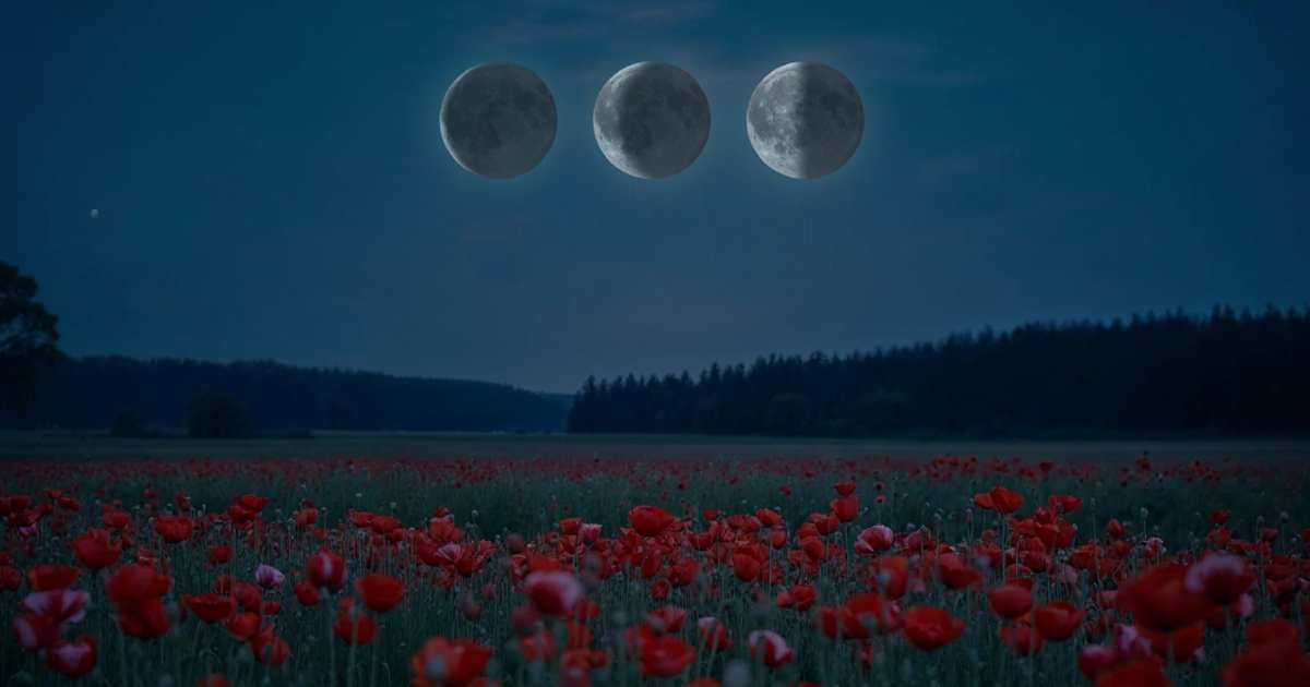 tu alma sabe cuándo cerrar ciclos. Suelta con ternura lo que ya no va contigo»