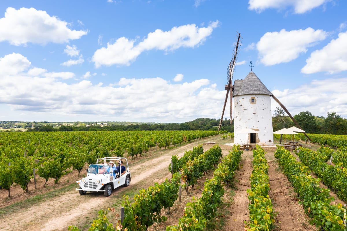 los vinos inesperados del Loira