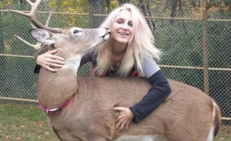 Muere una mujer tras el ataque del ciervo que había rescatado y domesticaba desde hacía años
