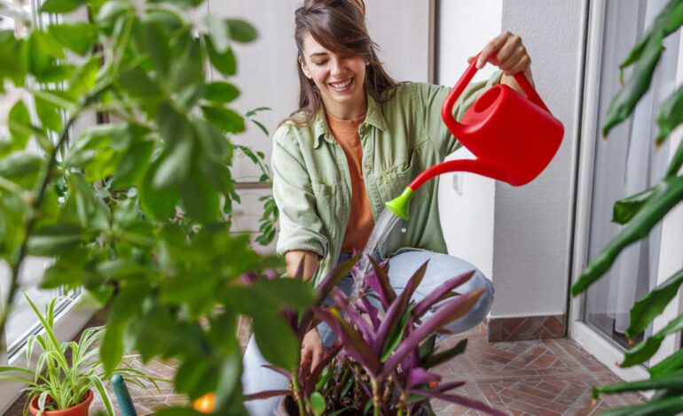 Cómo regar con agua destilada y por qué no siempre es buena idea