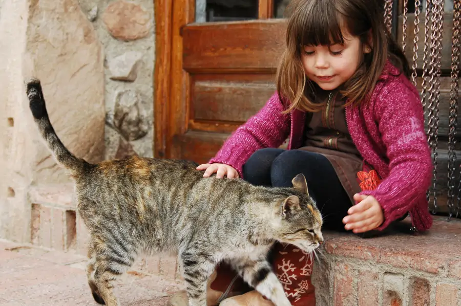 chica con gato
