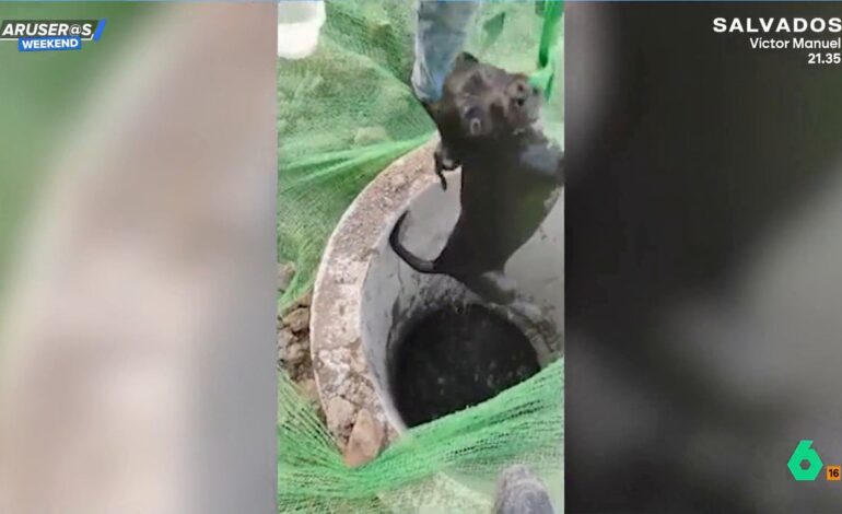 este es el vídeo del angustioso momento