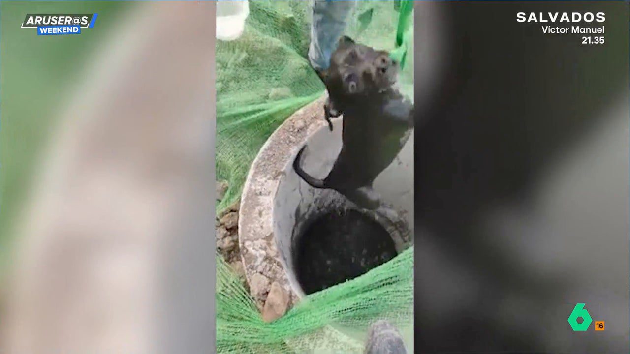 este es el vídeo del angustioso momento