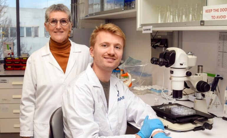 se coloca como una lentilla y administra lágrimas artificiales todo el día