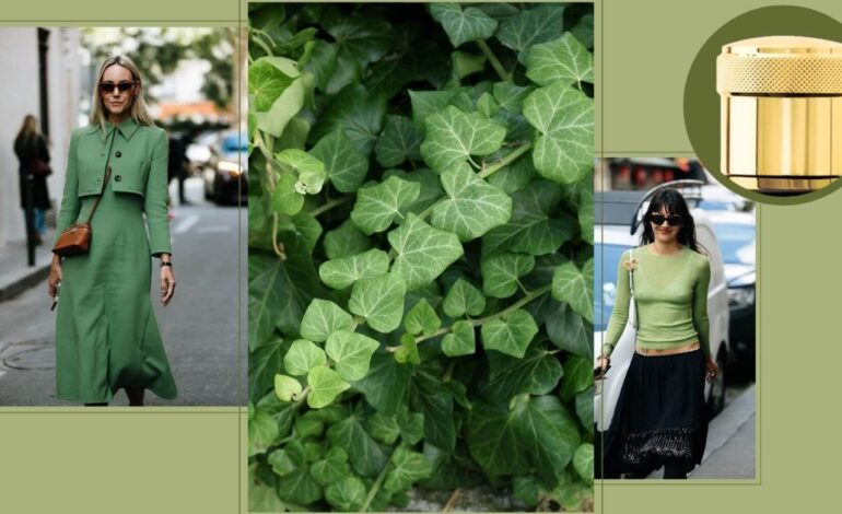 El perfume de lujo con alma de agua de colonia clásica