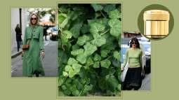 perfume-agua-de-colonia-fresca