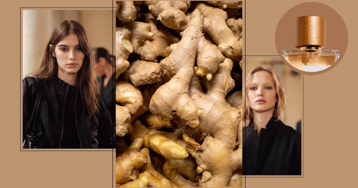 El perfume con jengibre para las que no quieren renunciar a las fragancias frescas en pleno noviembre