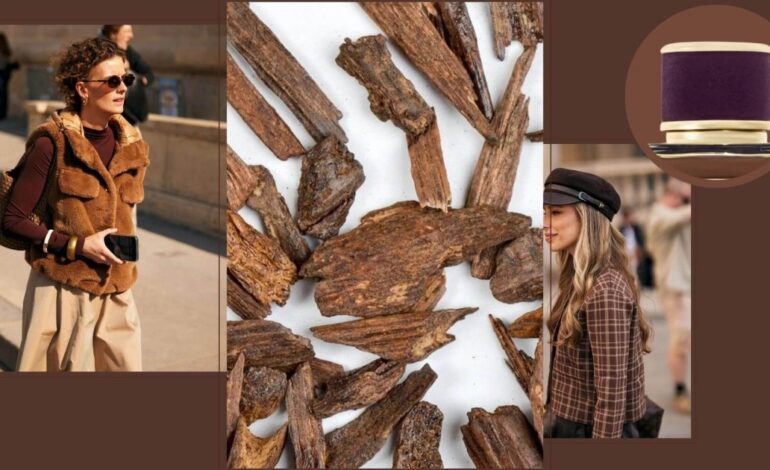 Este nuevo perfume de lujo, que contiene uno de los ingredientes más caros del mundo, está hecho para seducir en una noche de otoño