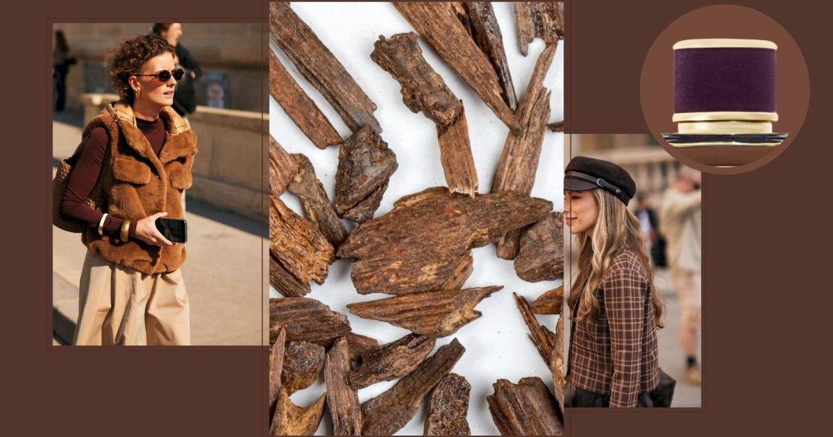 Este nuevo perfume de lujo, que contiene uno de los ingredientes más caros del mundo, está hecho para seducir en una noche de otoño