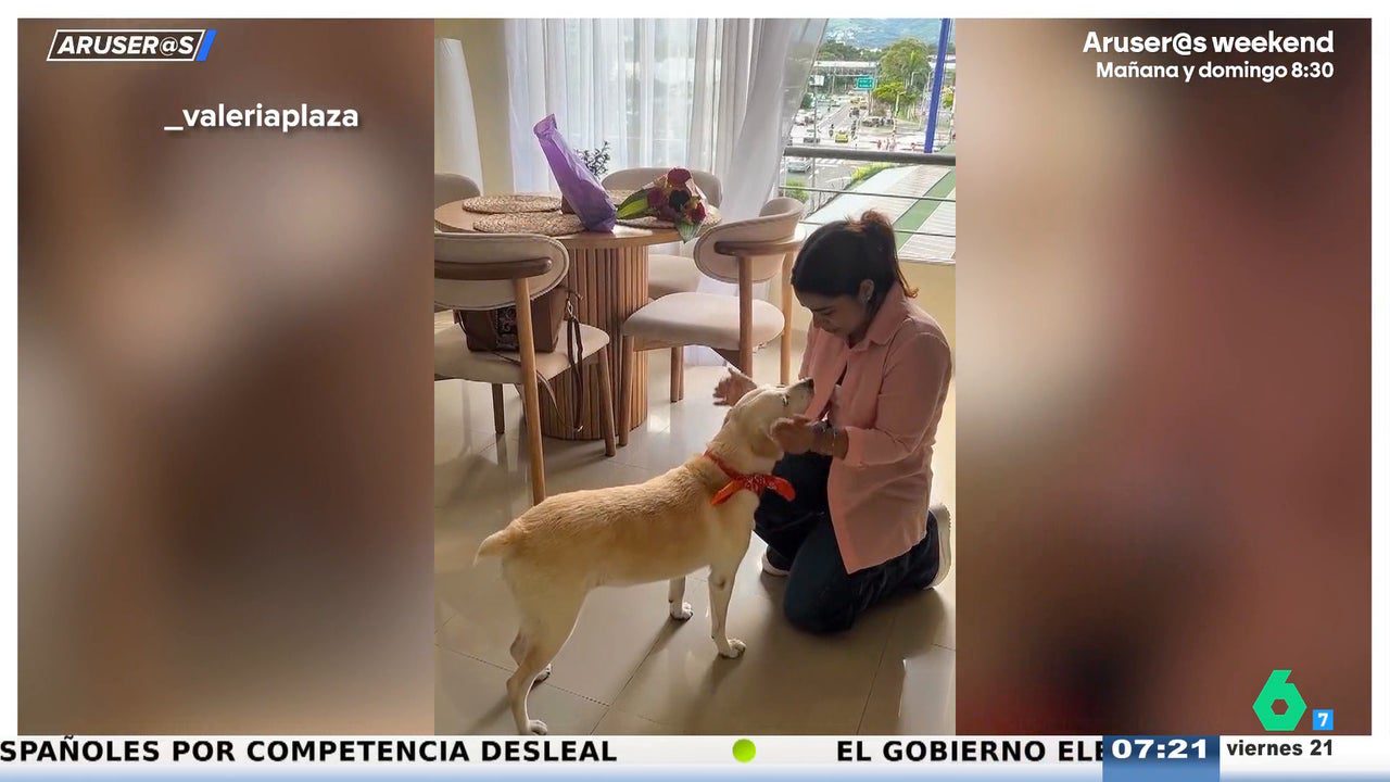 El emocionante vídeo de una joven que se reencuentra con su perra tras siete años perdida