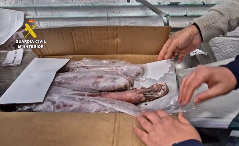 intervenidas 20 toneladas de marisco en mal estado en Palma