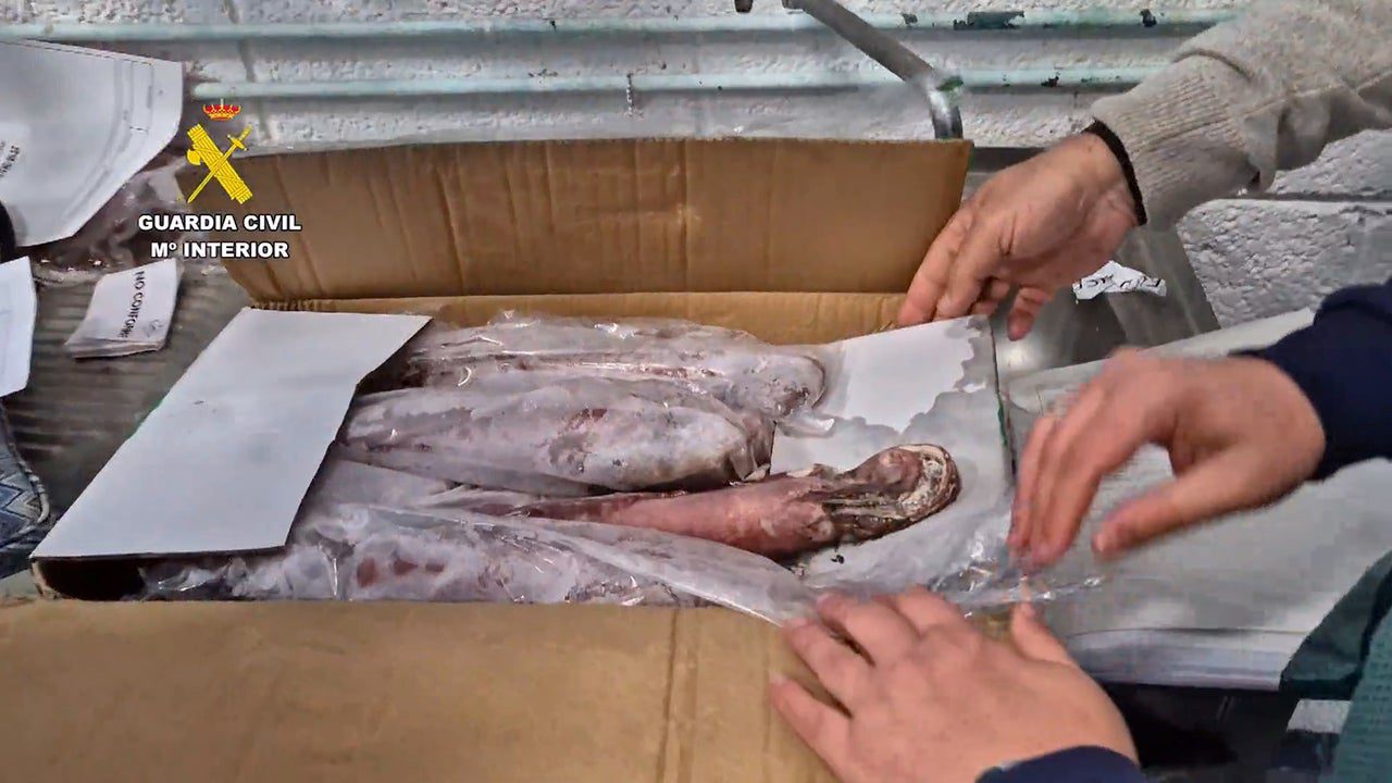 intervenidas 20 toneladas de marisco en mal estado en Palma