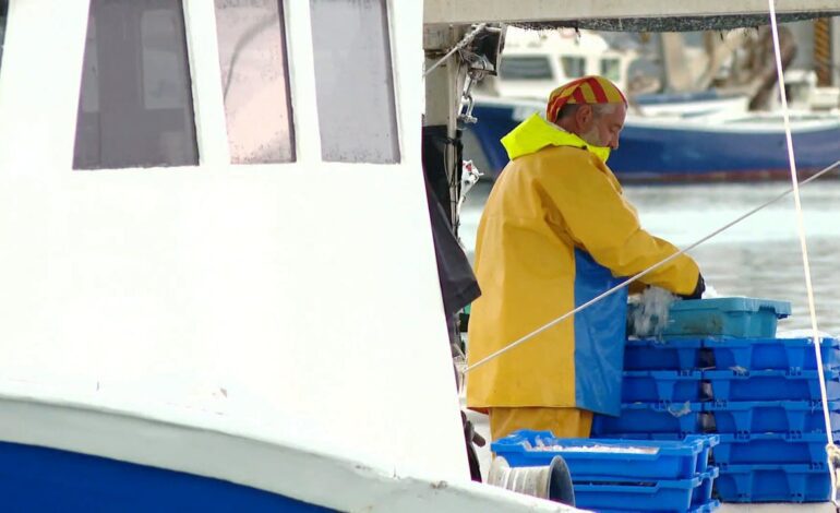 Los pescadores de Tarragona, desesperados tras agotar los días de cuota: «No puedo salir a pescar»