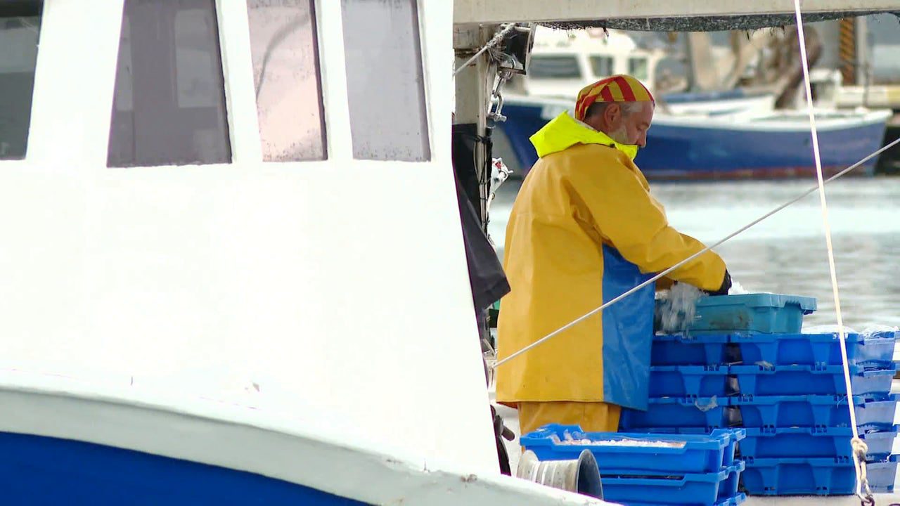 Los pescadores de Tarragona, desesperados tras agotar los días de cuota: «No puedo salir a pescar»