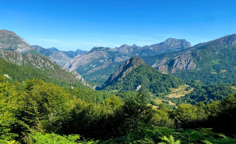 Cinco excusas para volver a León tras los incendios de este verano