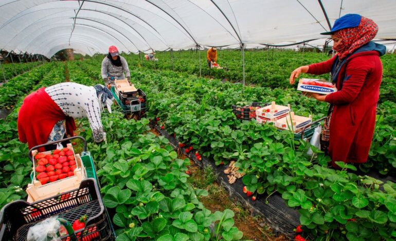 Los marroquíes encabezan los cotizantes extranjeros en agricultura, transporte, construcción y hostelería