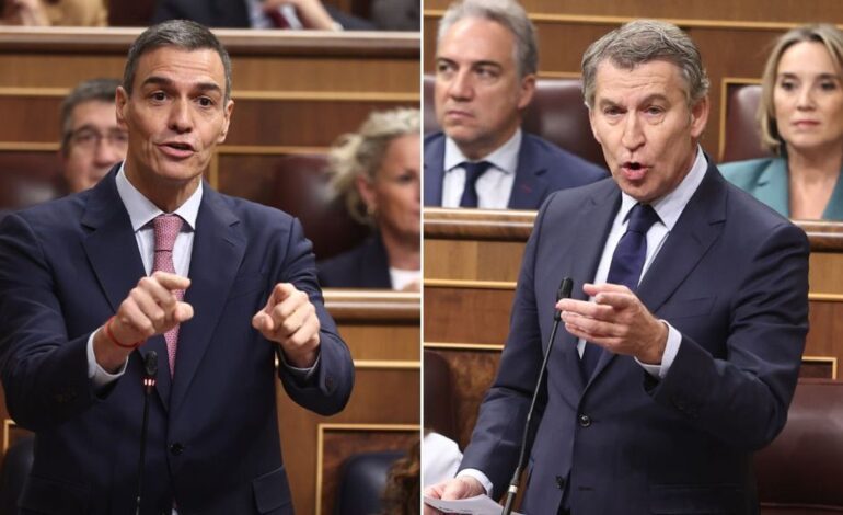 Feijóo afirma a Sánchez que «es cada vez más peligroso para la democracia» y el presidente le acusa de «no ser un buen parlamentario»