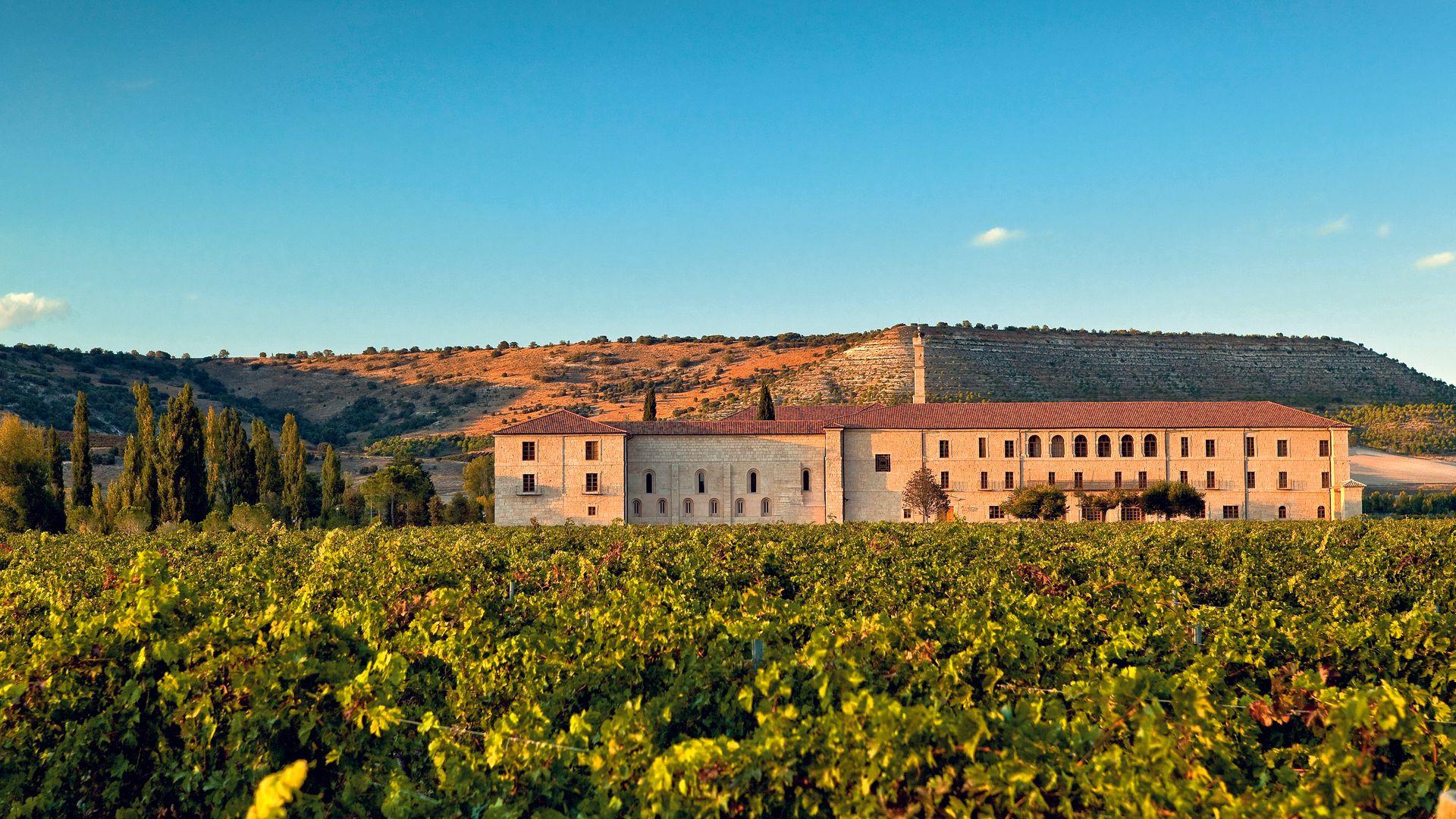 Abadía de Retuerta LeDomaine en Rivera del Duero