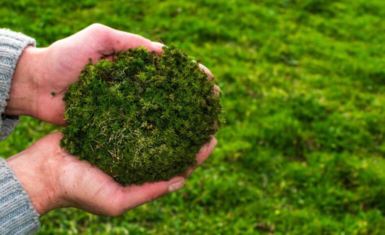 qué es, para qué sirve y cómo hacer que te dure