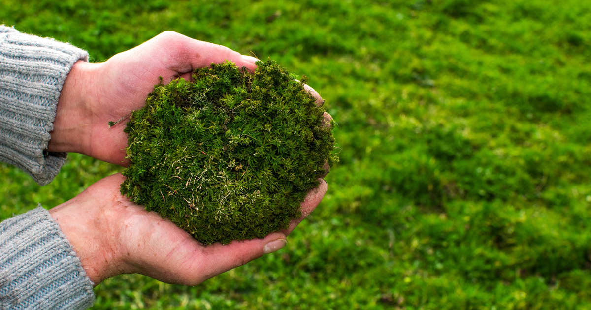 qué es, para qué sirve y cómo hacer que te dure