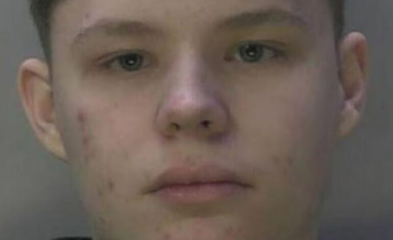 Condenan a un adolescente por violar y abusar de dos niños de tres años en una guardería