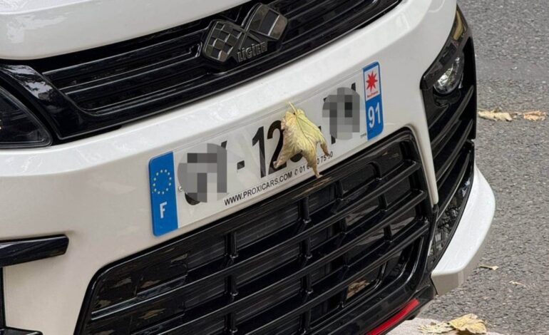 así perfeccionan el truco de la hoja