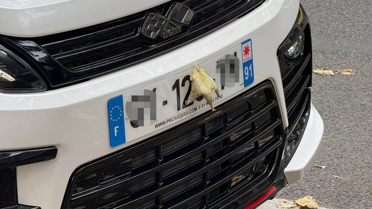 así perfeccionan el truco de la hoja