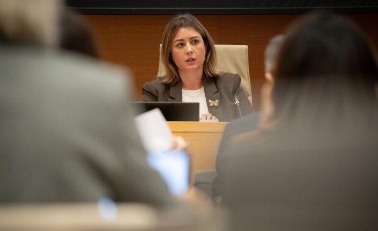 Cayó al agua. Su mirada me acompaña cada día